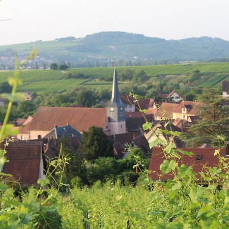 A L'Oree Des Vignes, Superbe Logement De 80 M2 Wangen Екстериор снимка