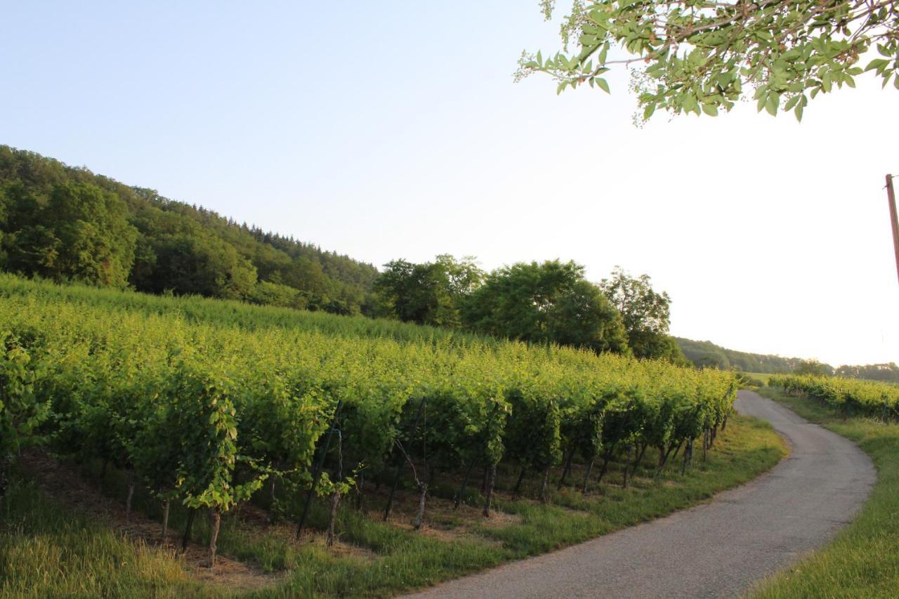 A L'Oree Des Vignes, Superbe Logement De 80 M2 Wangen Екстериор снимка
